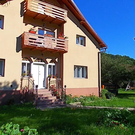 Guest house Stefanut 3*
