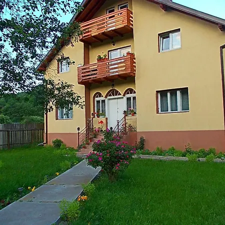 Guest house Stefanut 3*