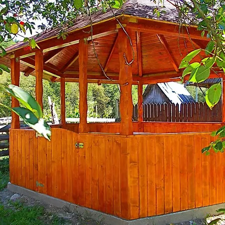 Stefanut Guest house Cluj-Napoca